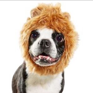 NWT Bootique Lion Mane  Headpiece Halloween dog L/XL